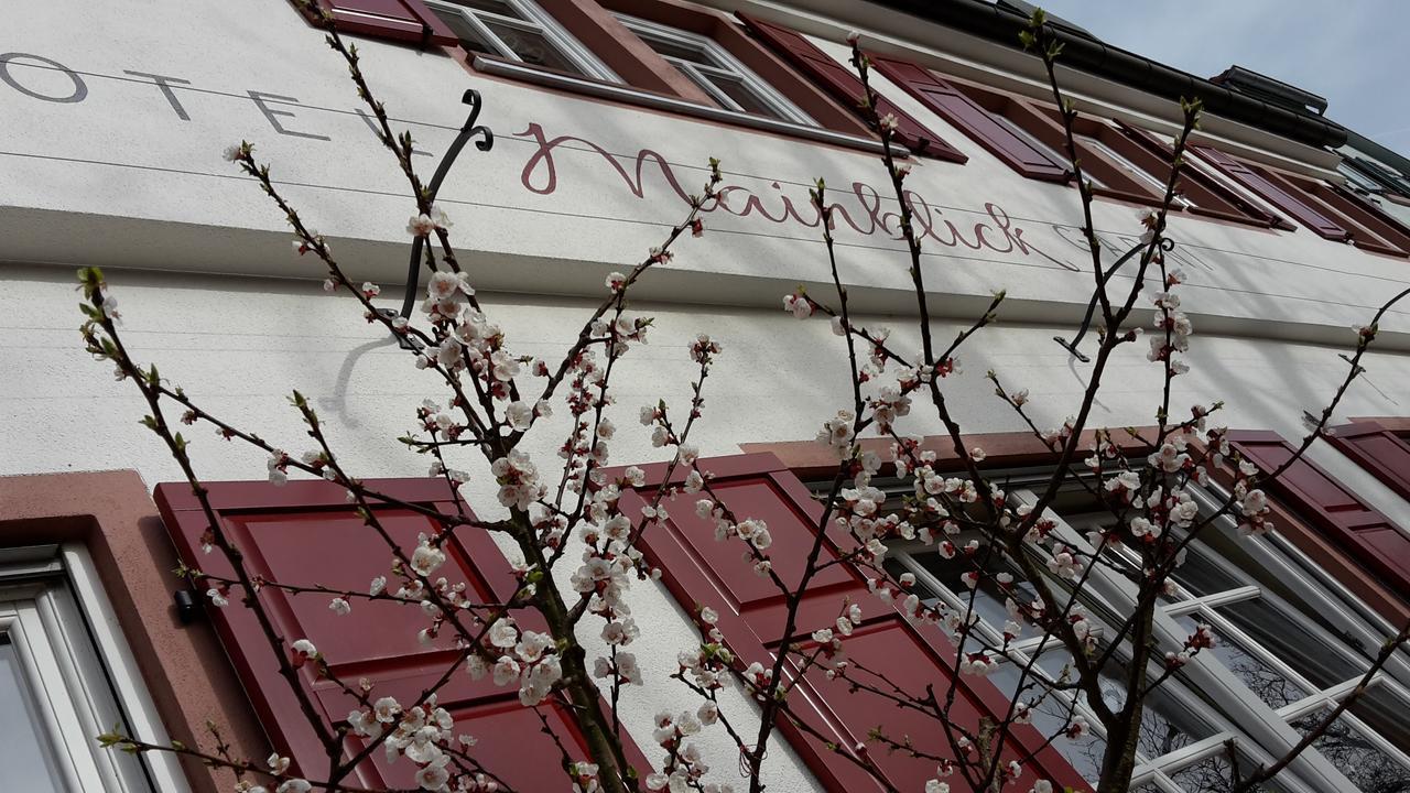Hotel Mainblick Garni Marktheidenfeld Extérieur photo